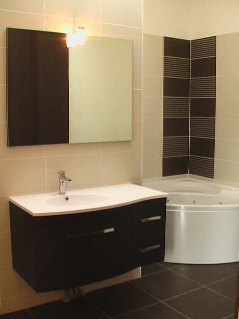 Gite for 8 or 9 people with swimming pool in Champagne near Reims