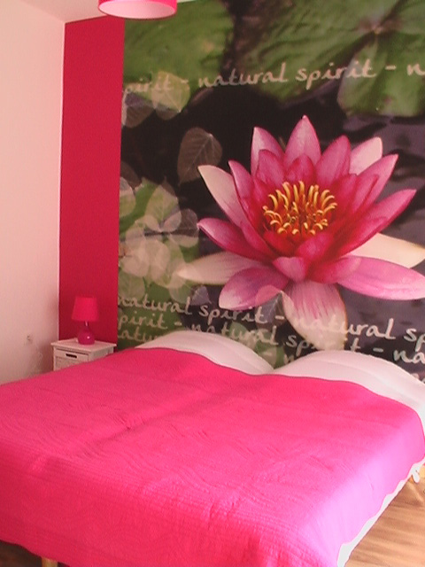 Gite for 8 or 9 people with swimming pool in Champagne near Reims