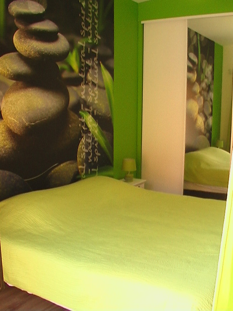 Gite for 8 or 9 people with swimming pool in Champagne near Reims