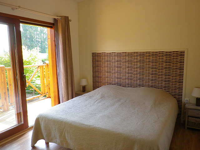 Gite for 8 or 9 people with swimming pool in Champagne near Reims